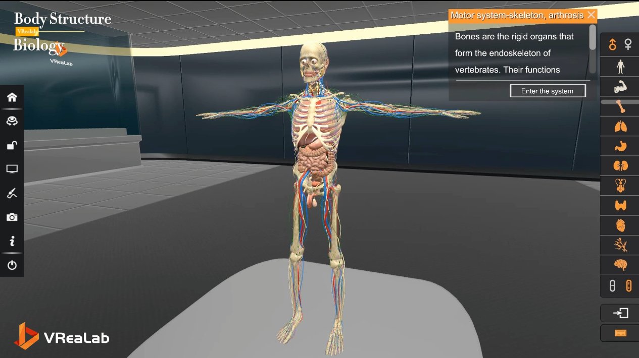 VReaLab Biology Body Structure overview