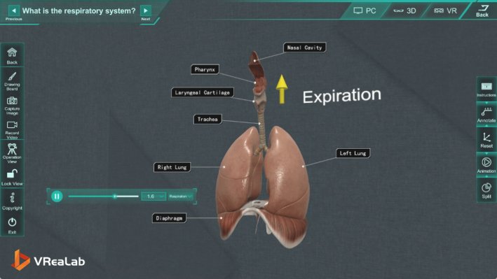 Life sciences module - exploring cells in VR