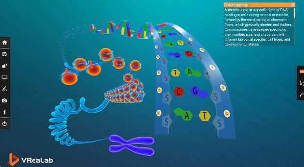 Chromosome structure zooming from macro to DNA double helix