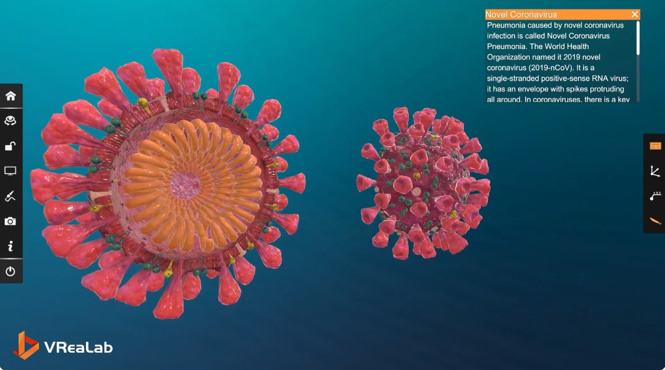 Active transport visualization across biology, chemistry, and physics