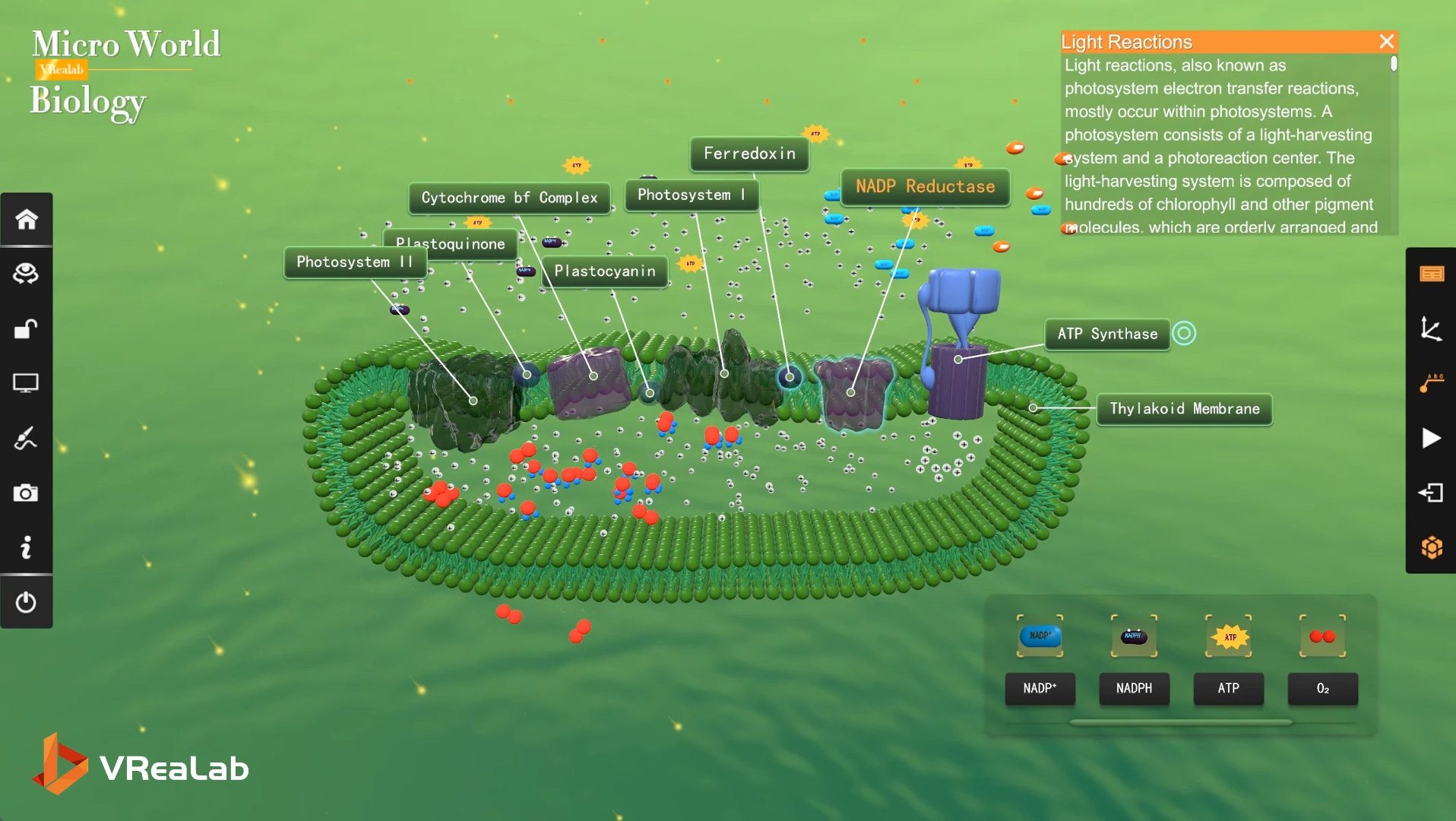 Novel Coronavirus module connecting biology, chemistry, physics, and health