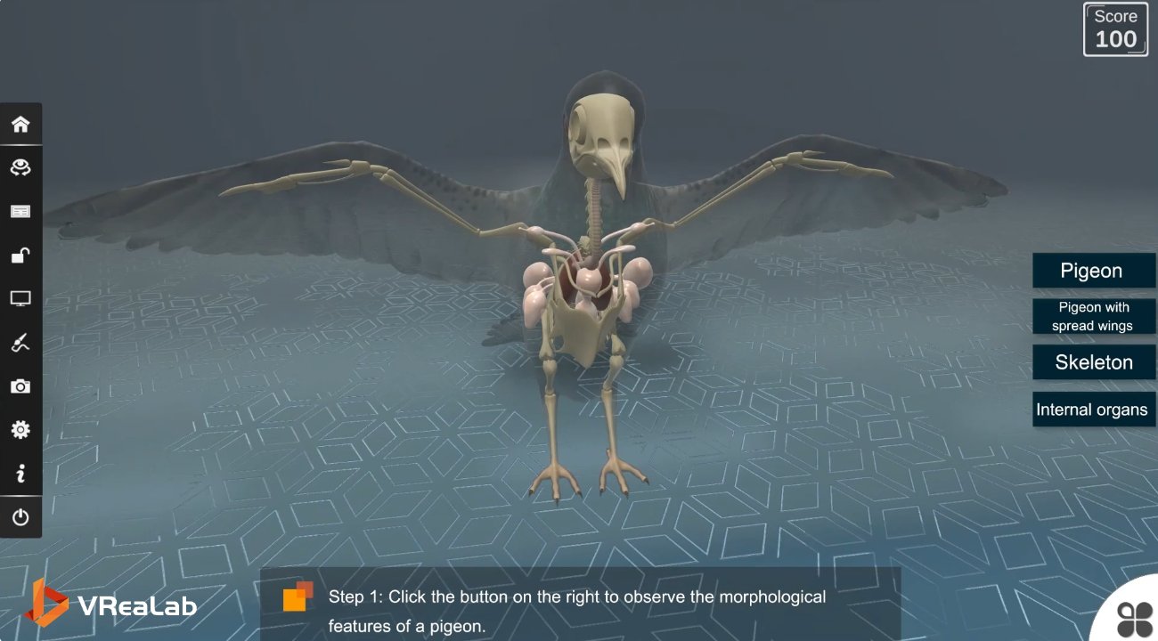 VR Biology Lab microscopic process exploration
