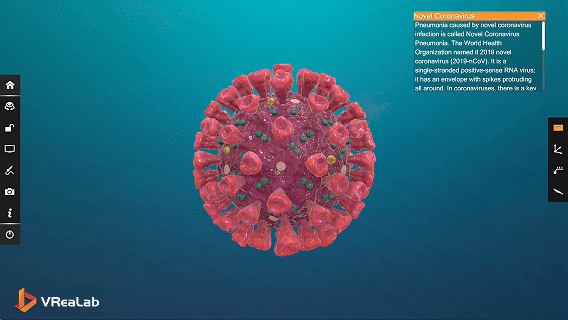 3D exploration of coronavirus spike proteins and RNA in the Microbiology Virtual Lab