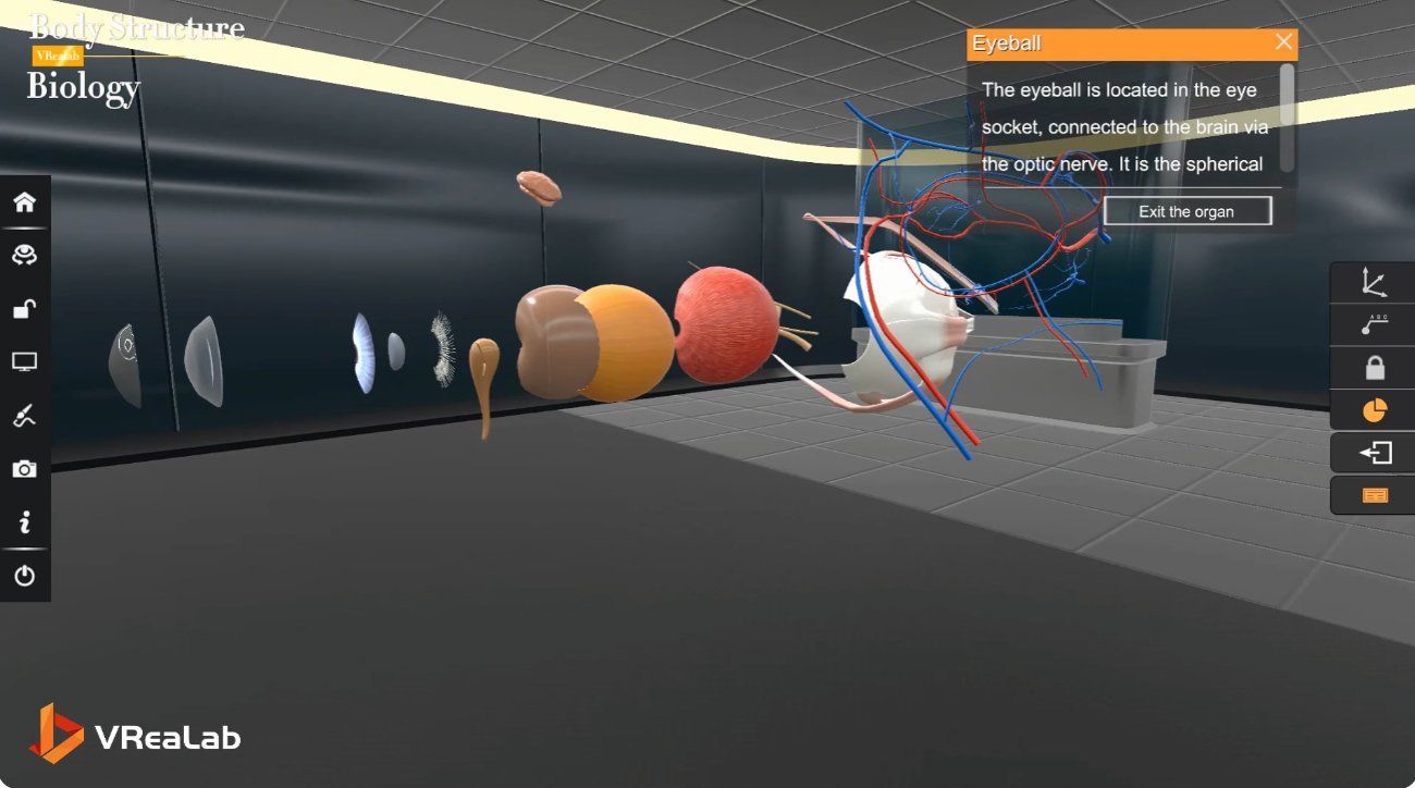 VR anatomy - eyeball structure exploded view for interactive learning