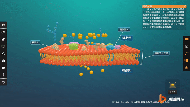【矩道生物虚拟实验室】《分子与细胞》精美3D资源(专题2)