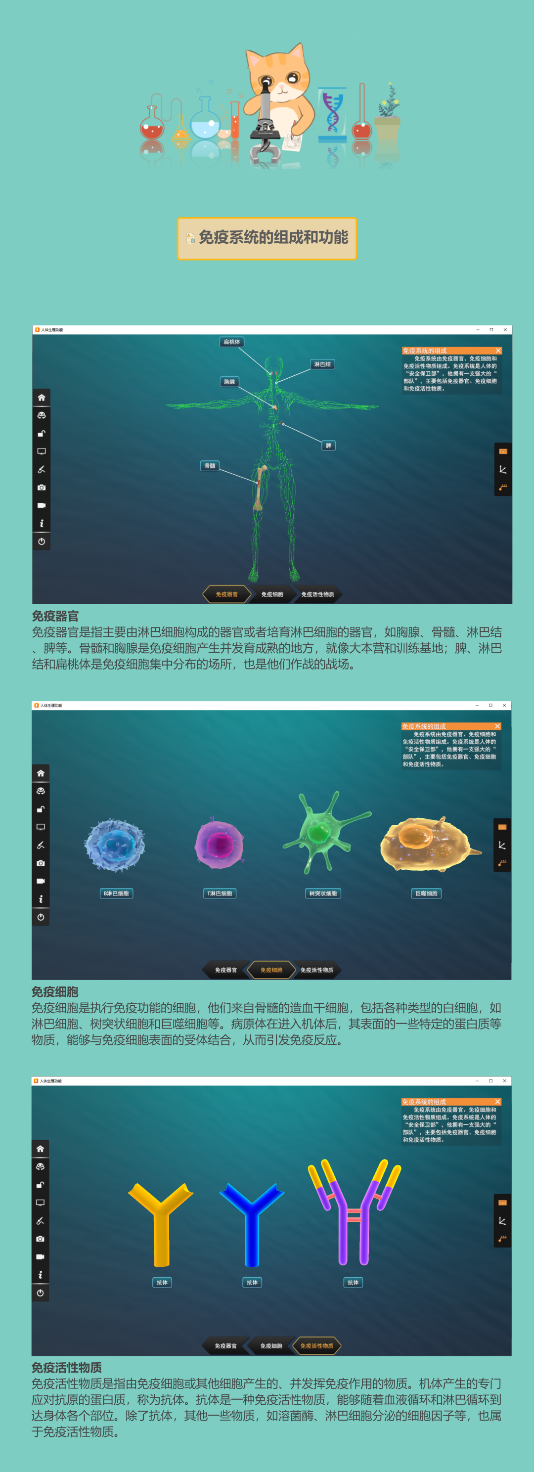 宝典全年资料大全